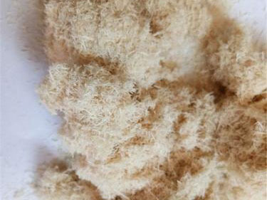 ľ�w�S�۹�ˇ